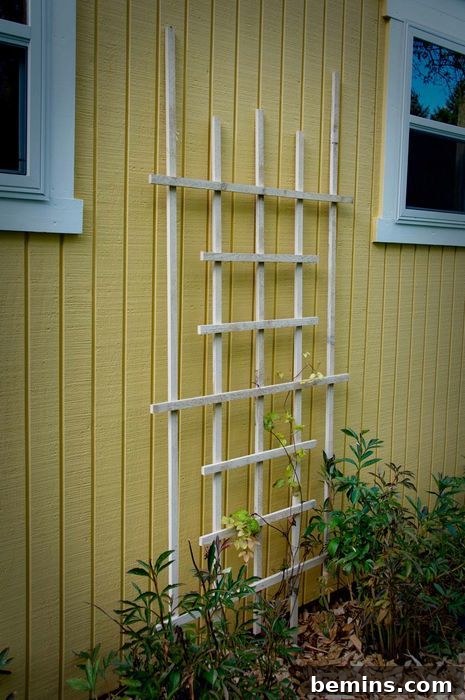 Completed Garden Trellis
