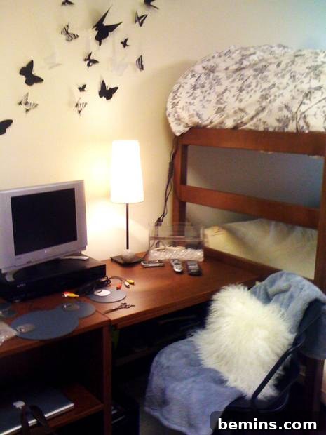 Finished Butterfly Wall Art in Dorm Room