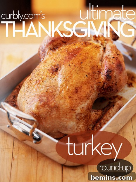 Delicious Thanksgiving Turkey