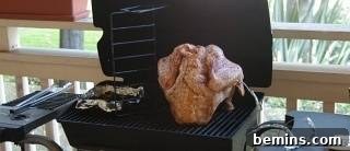 Grilled Turkey