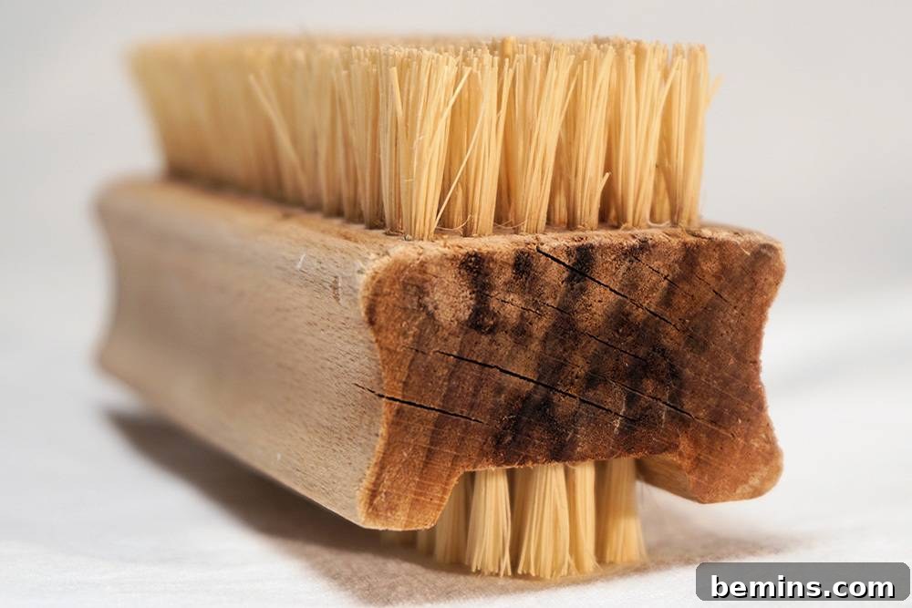 Cleaning brush
