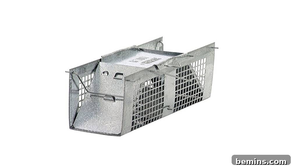 A no-kill mouse trap