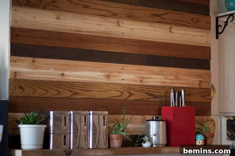 Crafting a Stunning Wall Feature with Reclaimed Wood 4 A shelf below planks of different colored woods containg three silver containers three plants and a red knife holder.
