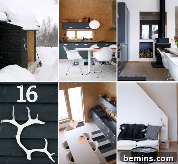 Modern Cabin Living Room