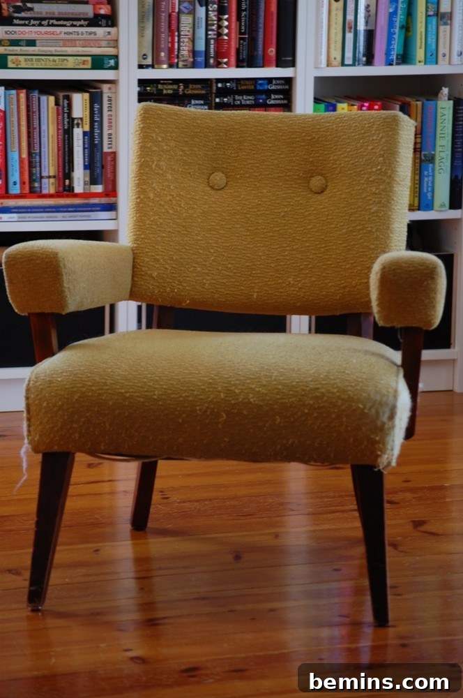 Brown color cushion chair in front of the bookshelf. Revitalized seating with a simple touch.