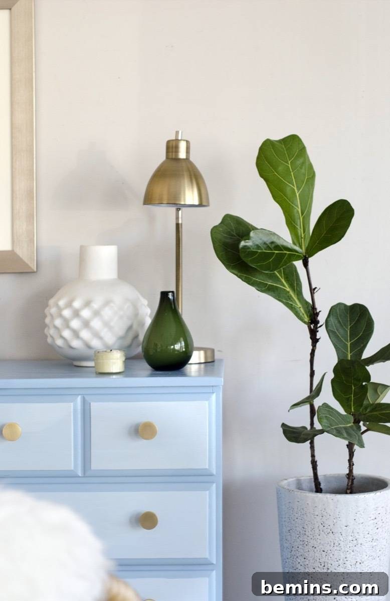 Image of the completed repainted dresser. The image showcases the beautiful transformation and highlights the importance of following each step carefully.