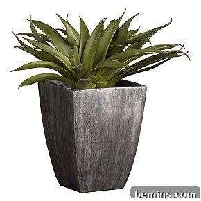 A potted Agave Americana plant in a modern wooden container.