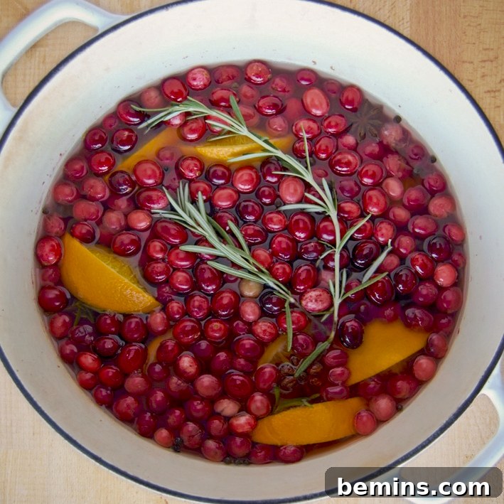 Christmas Stocking Spectacular 13 red berries and lemons breakfast