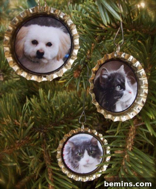 Close-up of gold bottle cap ornaments featuring pet photos
