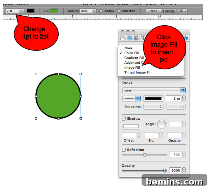Screenshot of Pages showing circle creation for photo placement