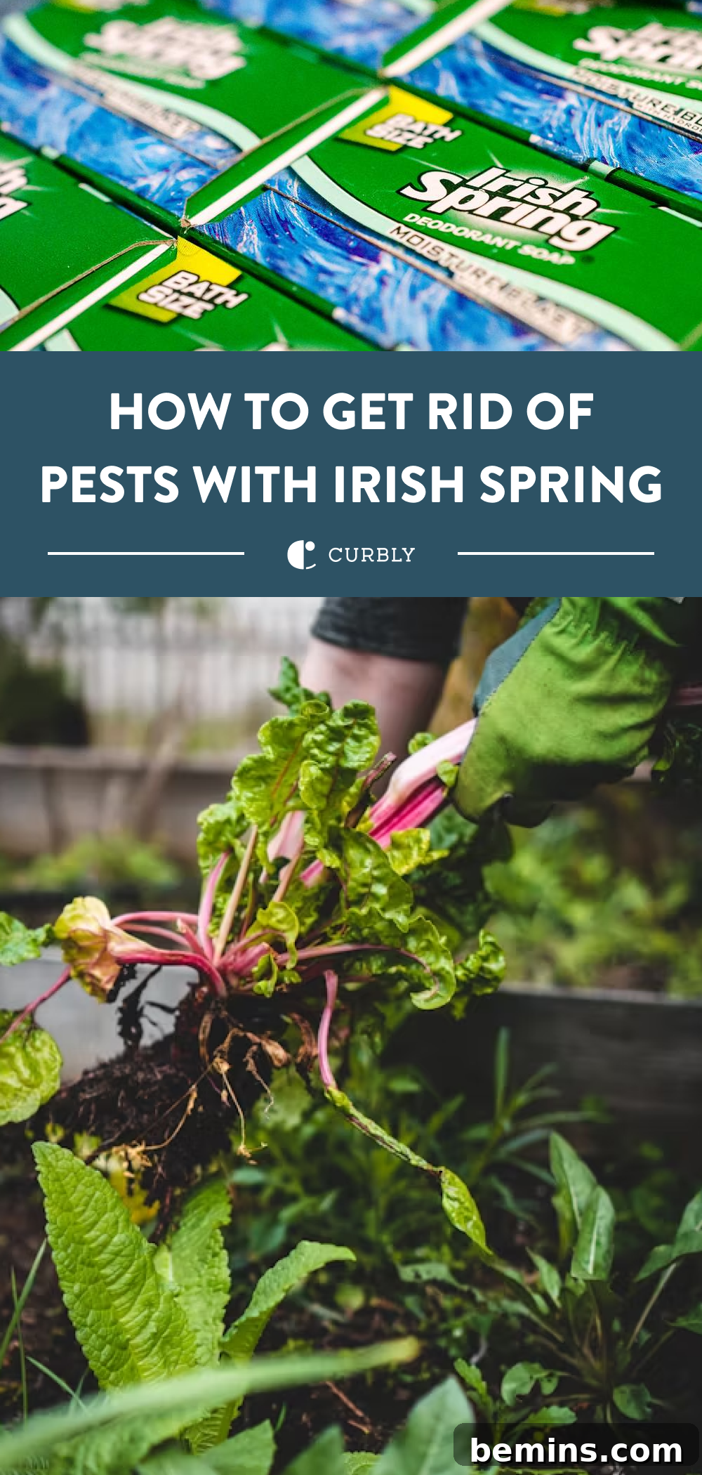 Irish Spring Garden Tips