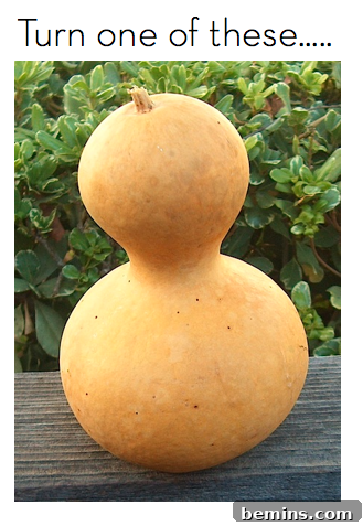 Gourd Lamp Inspiration - Unique Shape and Design