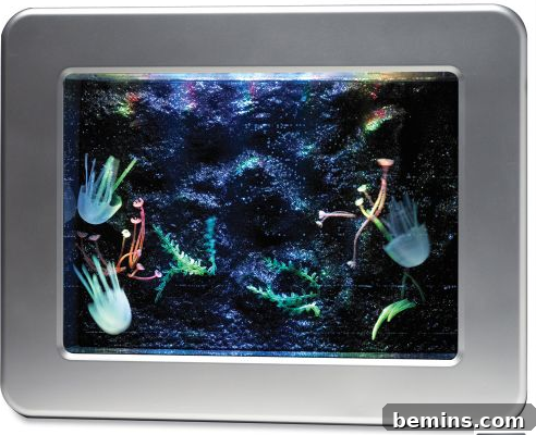 Jellyfish Aquarium