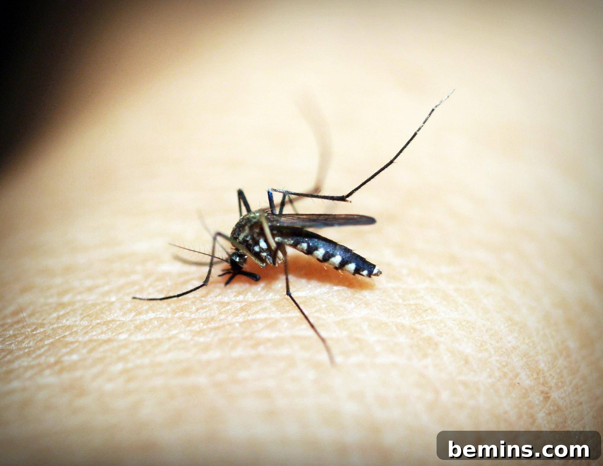 25 Brilliant Ways to Repurpose Dryer Sheets 3 Use dryer sheets as a mosquito repellant