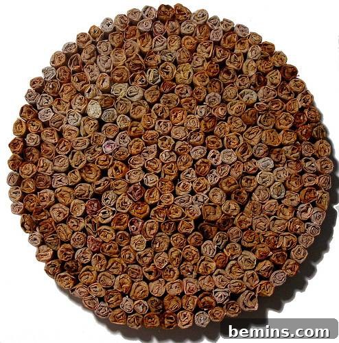 Marvelous Tea Bag Art: 10 Creative Examples 5 Tea Bag Art: Recycled Tea Bag Flower Patch by Valeria Burgoa