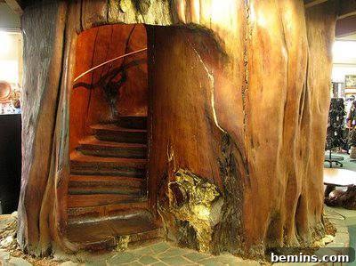 A unique staircase design incorporating a tree stump as a central element, blending nature and architecture.