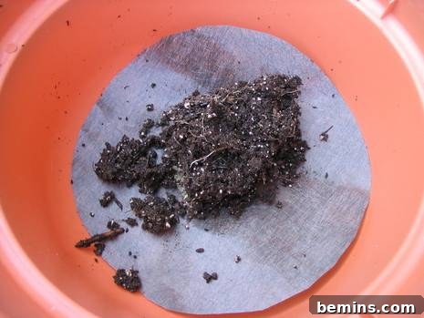 Making an Upside Down Tomato Planter: Have someone hold the pot for you while you fill it with potting soil