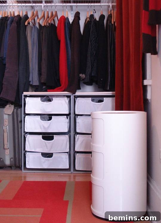 Closet with ClosetMaid system after makeover