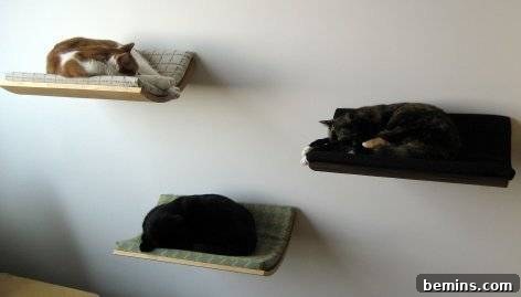 Curved Wall Mounted Pet Bed: Pampering Your Feline Friend in Style