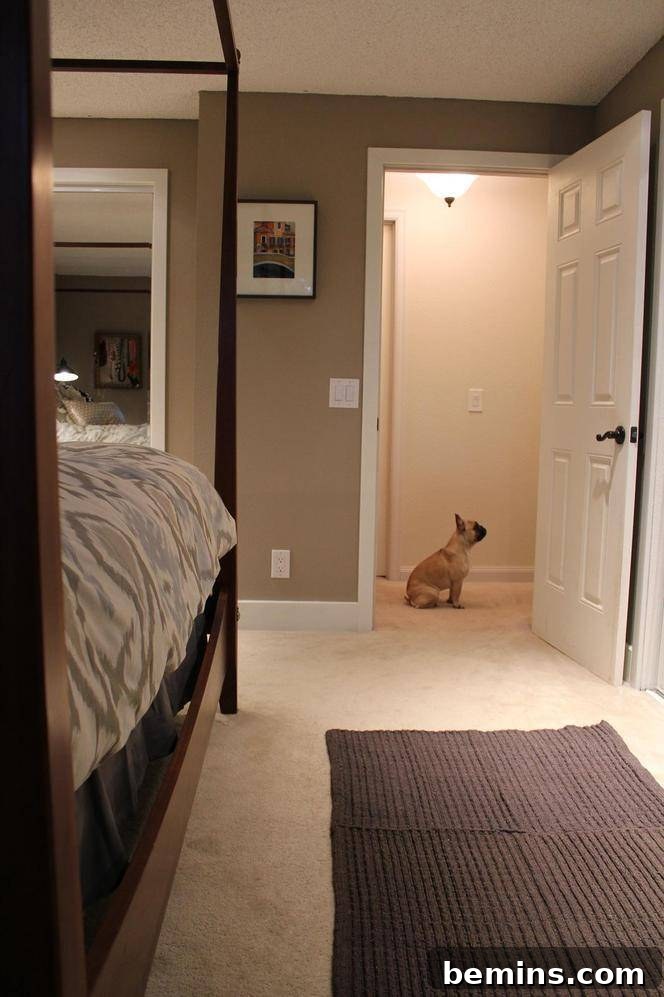 Elegant Newlywed Bedroom Sanctuary Unveiled 7 Pet-approved bedroom decor with a cozy rug and stylish accents