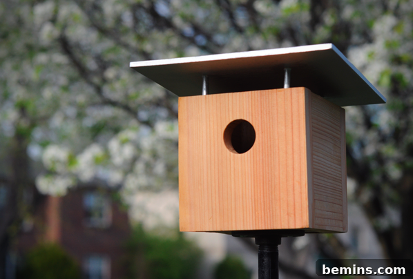 Modern DIY Birdhouse - Simple and Stylish Design
