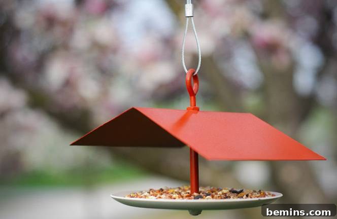 Bird Feeder with a Red Roof
