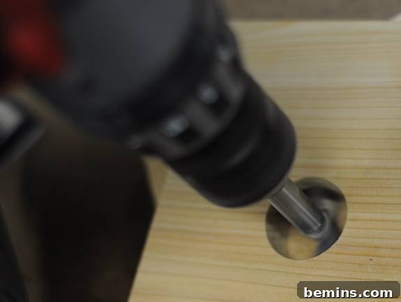 Drilling a Hole using a Forstner Bit for Birdhouse Entrance