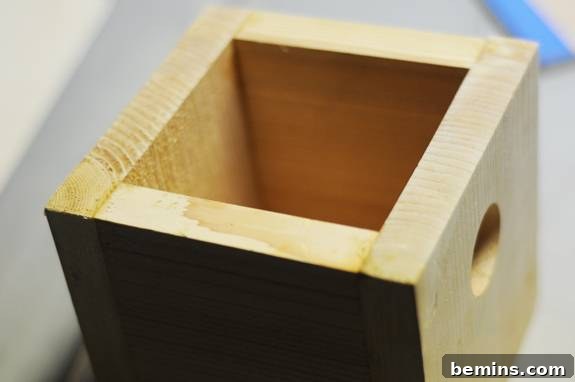 Gluing the Sides into a Square to Form Birdhouse Body