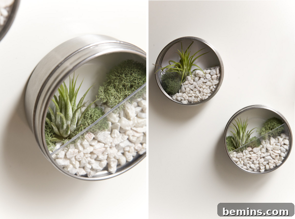 Miniature Magnetic Gardens: DIY Terrarium Magnets to Liven Up Your Fridge 2 DIY Magnetic Vertical Garden