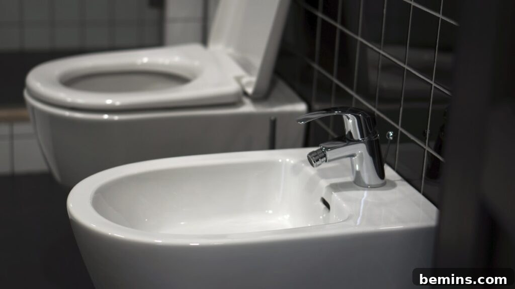 A pristine white bidet toilet seat installed next to a modern white sink.