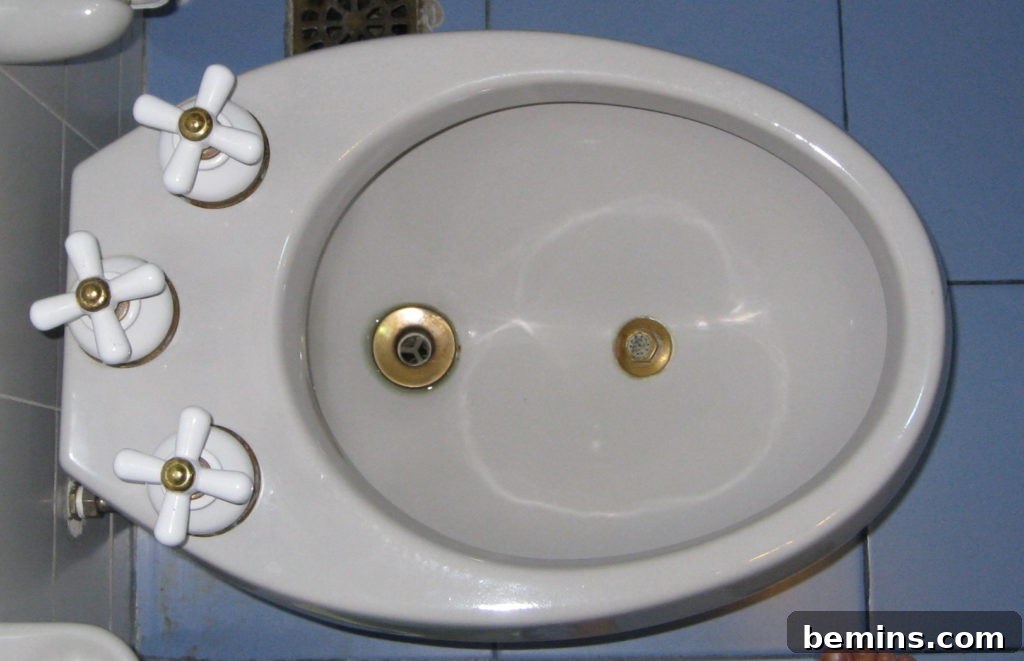 A standalone bidet highlighting its sleek and modern design.