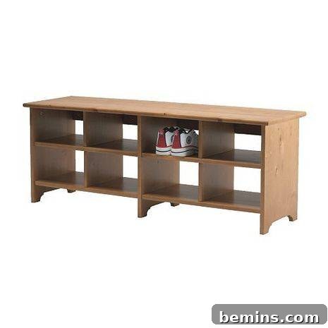 A shoe shelf with a pair of shoes in it