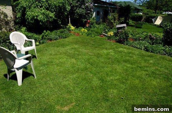 A LessLawn