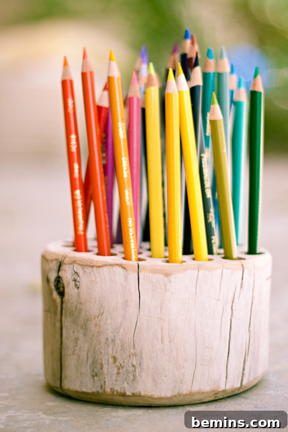 Handmade rustic pencil holder made from a tree branch