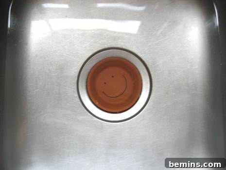 Soaking the Terra Cotta Dish: Preparing for Moisture Retention