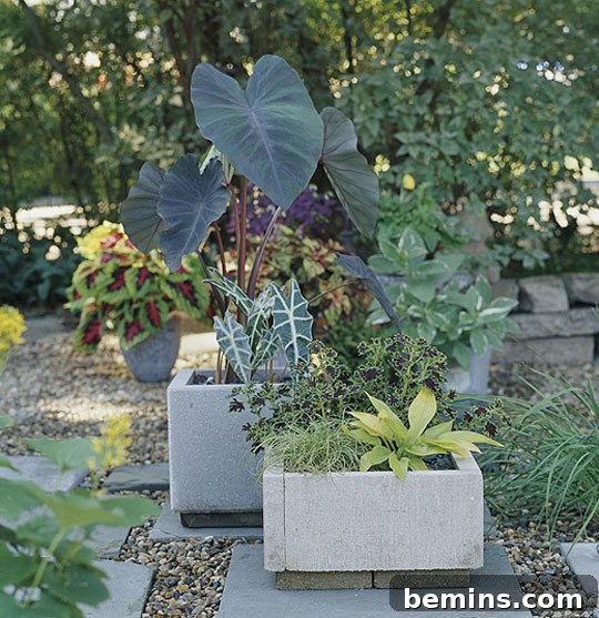 Two stone planters filled with large leaved plants outdoor in a garden, showcasing the beauty of DIY concrete planters