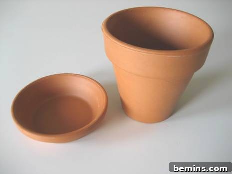 Terra cotta pot and drainage dish.