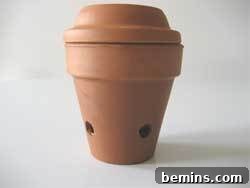 Terra cotta pot with holes drilled on side and topped with water draining tray.
