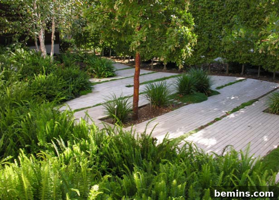 Bernard Trainor Sustainable Garden