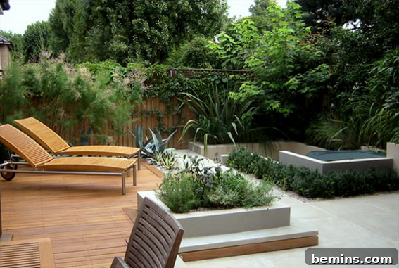 Andrea Cochran Contemporary Garden