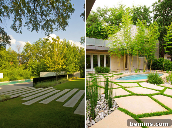 Foras Studio Modern Garden Design