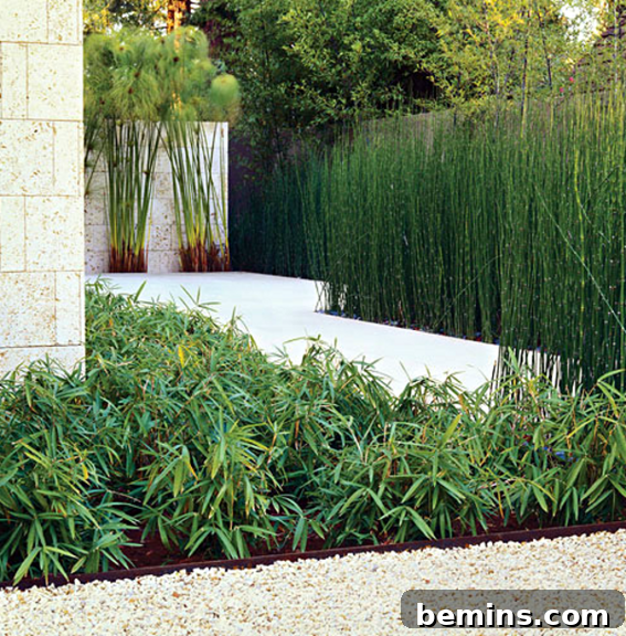Hocker Design Group Modern Landscape