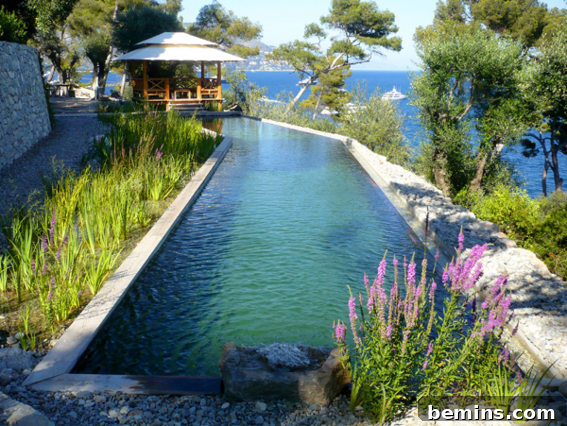 Andrea Cochran Landscape Architecture