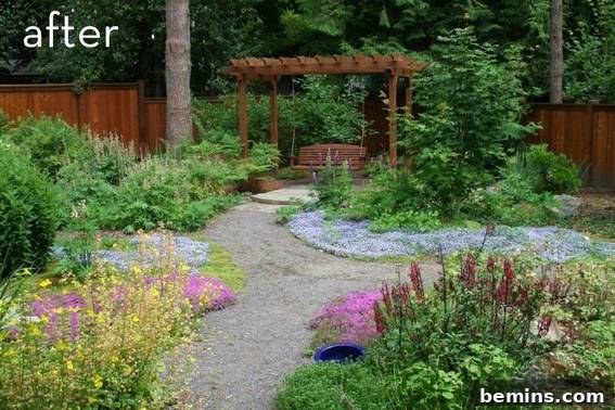 Landscape Transformations: Extreme Makeovers 3 Colorful Backyard Transformation: Before and After Landscaping Design