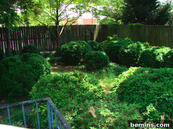 Landscape Transformations: Extreme Makeovers 6 Japanese Garden Transformation: Before and After Garden Renovation