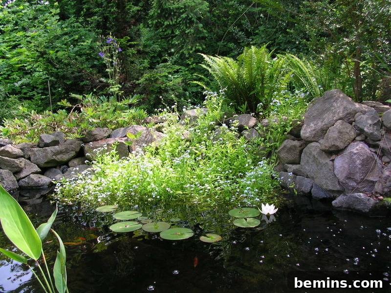 Landscape Transformations: Extreme Makeovers 9 Backyard Pond Ideas: Creating a Tranquil Water Feature