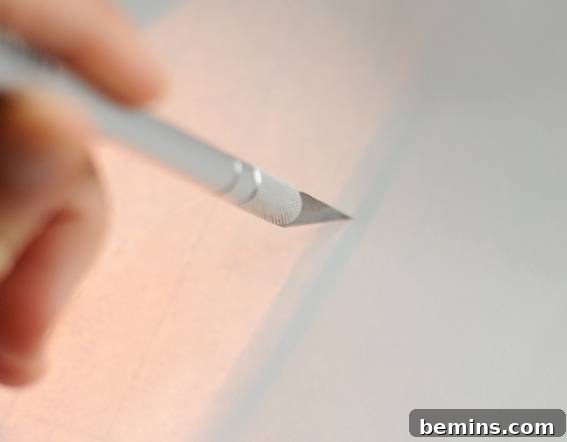 DIY Graphic Art on a Budget: Quick & Easy Projects 5 Creating a stencil using a craft knife and vinyl sheet