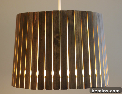 Hemma Light Chandelier