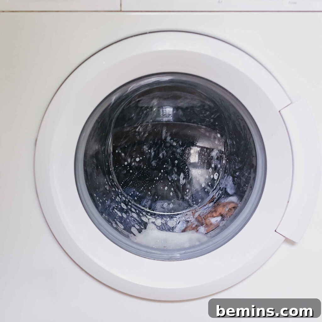 Creative Ways to Repurpose Your Coffee Grounds: Get Your Free Guide 4 washing machine close up.
