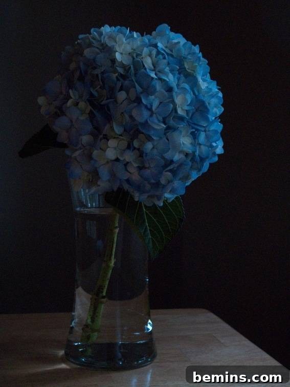 Unedited still life photograph taken with specific camera settings: ISO 400, Shutter Speed 6 seconds, f/3.5.